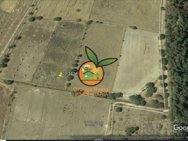 Terreno para Venta en Villa Corona - 5