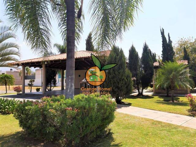 Área para Venta en Tlajomulco de Zúñiga - 5