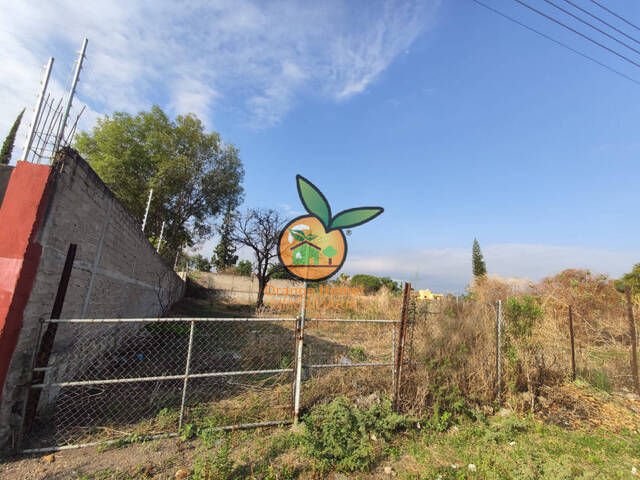 Área para Venta en Tlajomulco de Zúñiga - 4