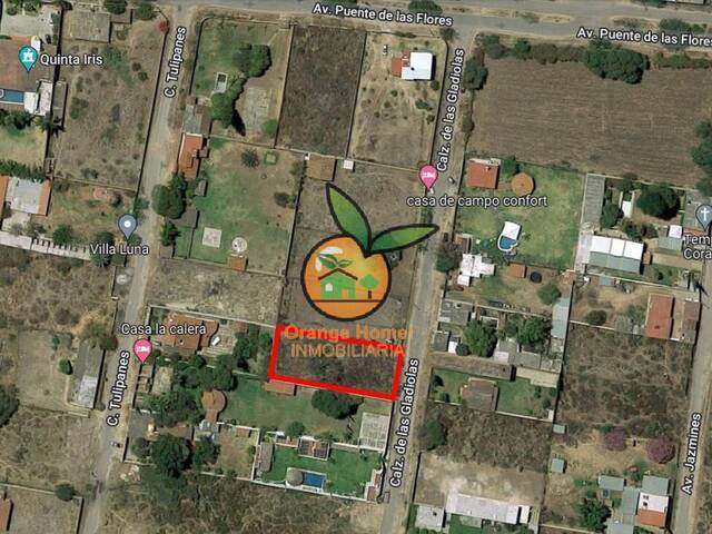Área para Venta en Tlajomulco de Zúñiga - 5