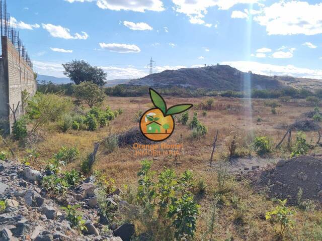 Terreno para Venta en Tlajomulco de Zúñiga - 5