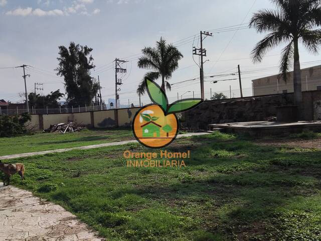 Terreno para Venta en Zapopan - 5
