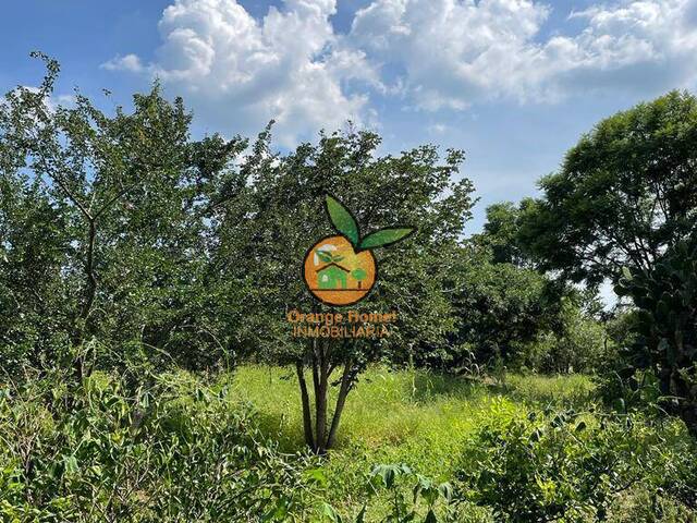 Terreno para Venta en Juanacatlán - 4