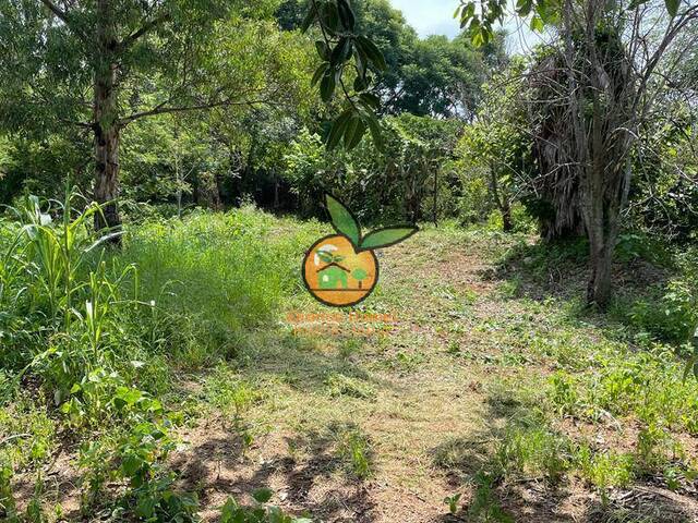 Terreno para Venta en Juanacatlán - 5