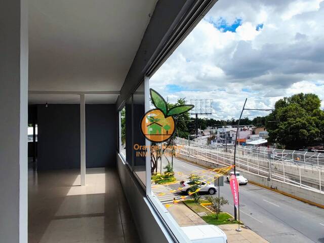 Oficina para Venta en Guadalajara - 5