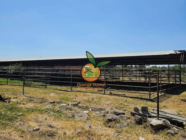 #5513 - Terreno para Venta en Zapotlanejo - JC - 1