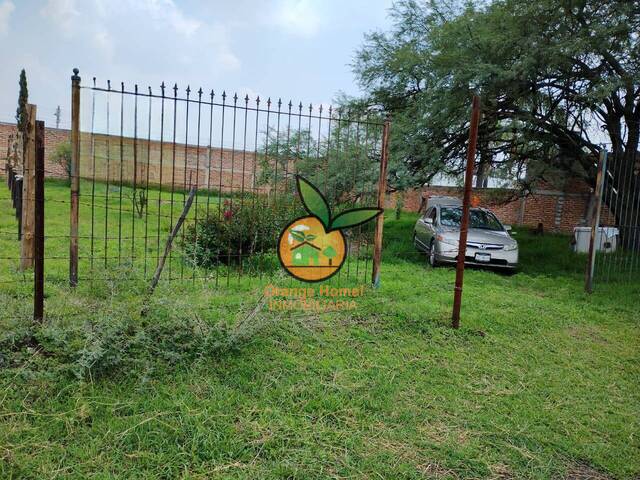 #5575 - Área para Venta en Tlajomulco de Zúñiga - JC - 1