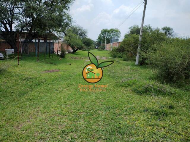 Área para Venta en Tlajomulco de Zúñiga - 5