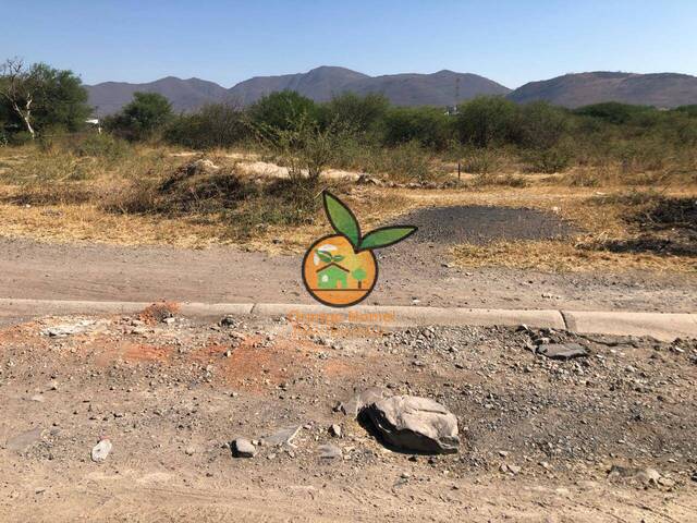Área para Venta en Tlajomulco de Zúñiga - 4