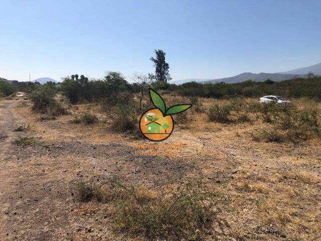 Área para Venta en Tlajomulco de Zúñiga - 5