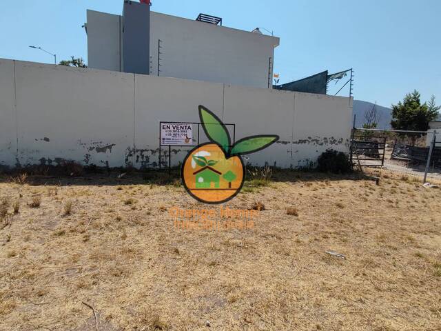 #5652 - Área para Venta en Tlajomulco de Zúñiga - JC