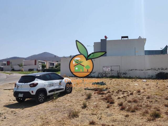 Área para Venta en Tlajomulco de Zúñiga - 5