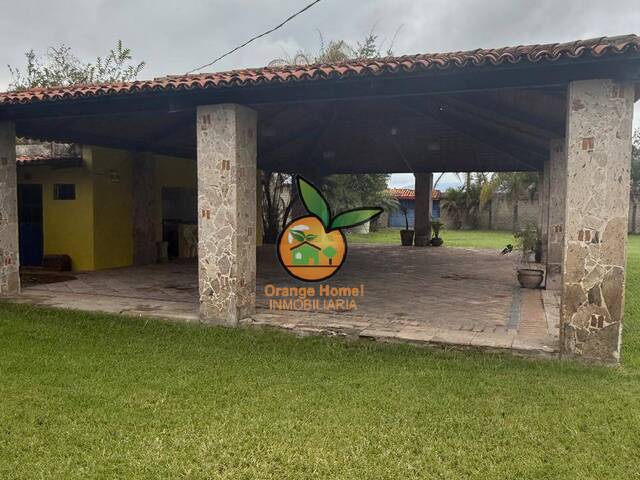 Área para Venta en Tala - 4