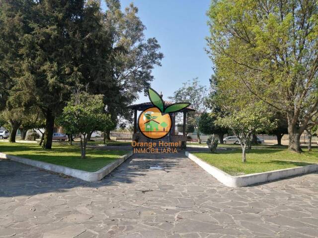 Área para Venta en Tlajomulco de Zúñiga - 5