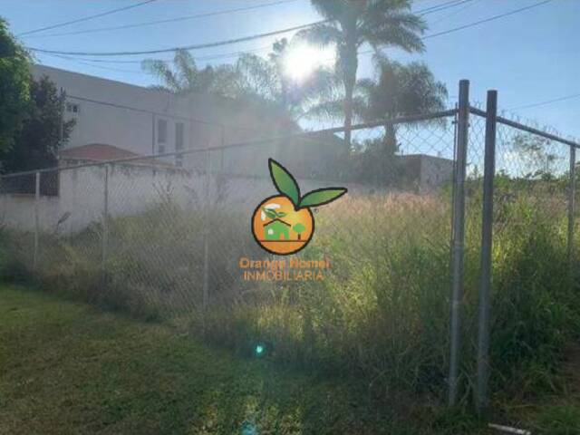 Área para Venta en Tlajomulco de Zúñiga - 4