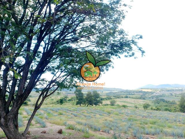 #5702 - Terreno para Venta en Villa Corona - JC - 2
